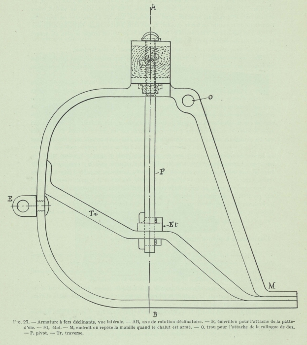 Gilson (1911, fig. 27)