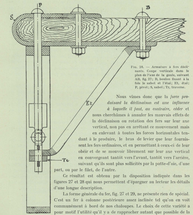 Gilson (1911, fig. 28)