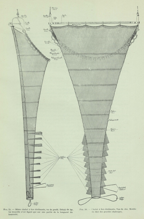 Gilson (1911, fig. 29, 30)