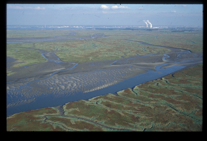 Saeftinge