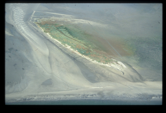 Westerschelde