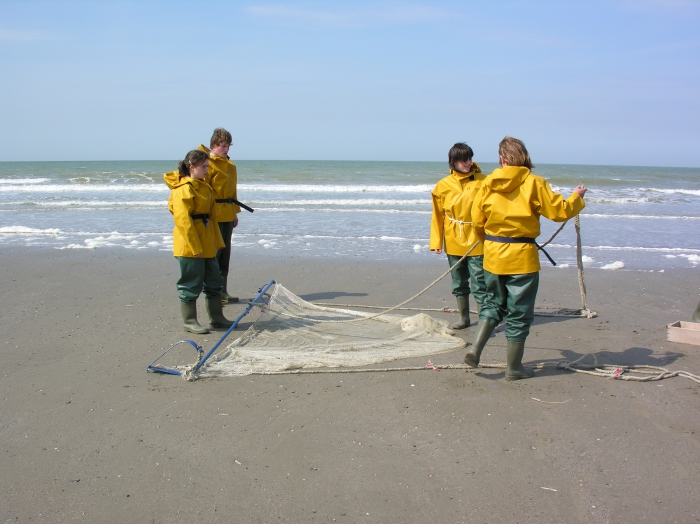 strandkruien: voorbereiding