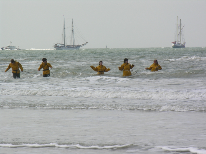 strandkruien