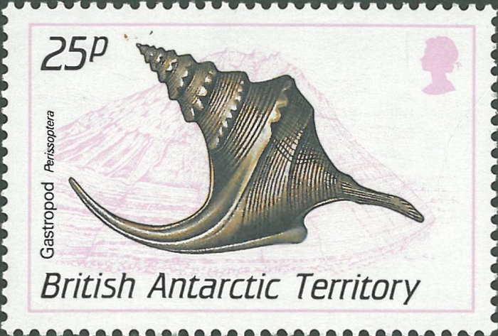 Perissoptera sp.