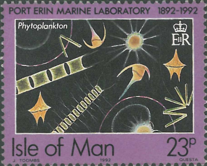 Phytoplankton sample