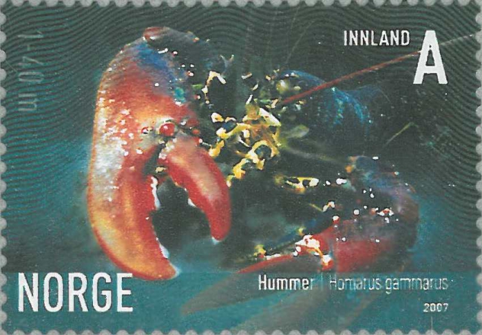 Homarus gammarus