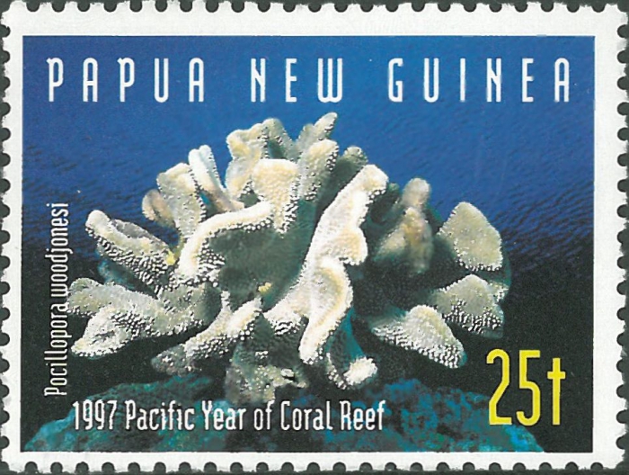 Pocillopora woodjonesi