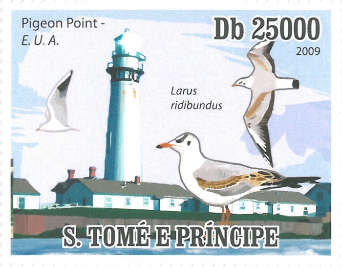 Larus ridibundus