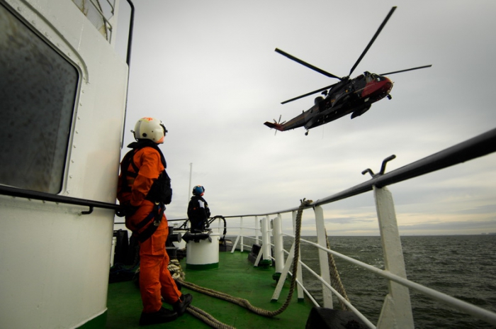 Seaking bezoekt de zeeleeuw