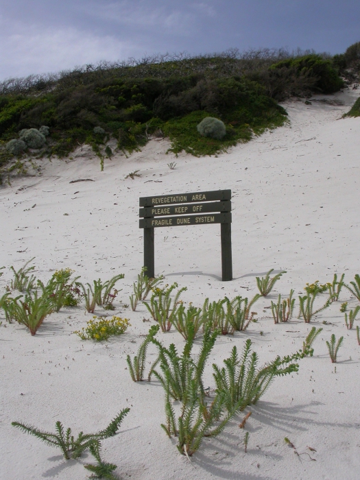 Duinen Wilsons Promontory