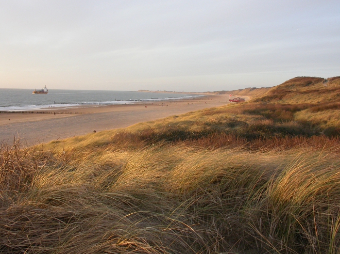 Duinen