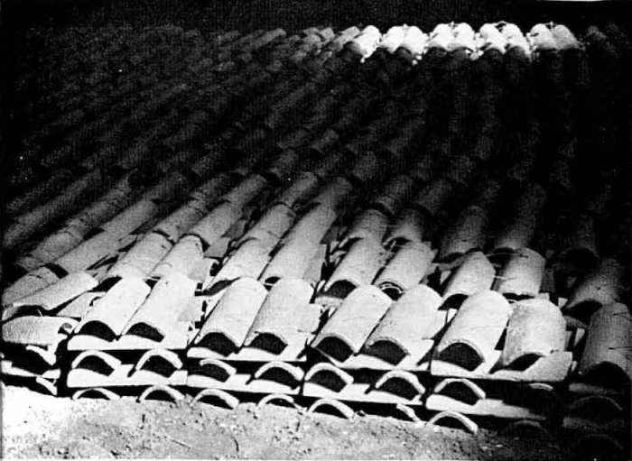 Graf (1957, foto 03)