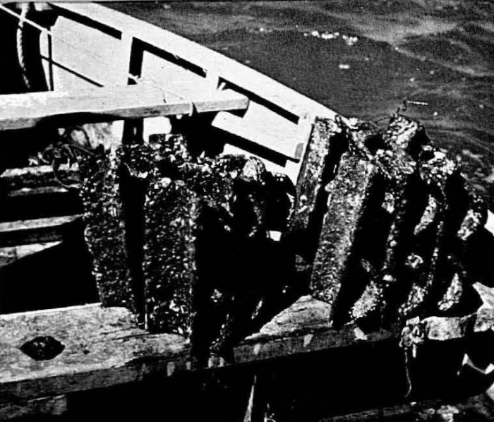 Graf (1957, foto 06)