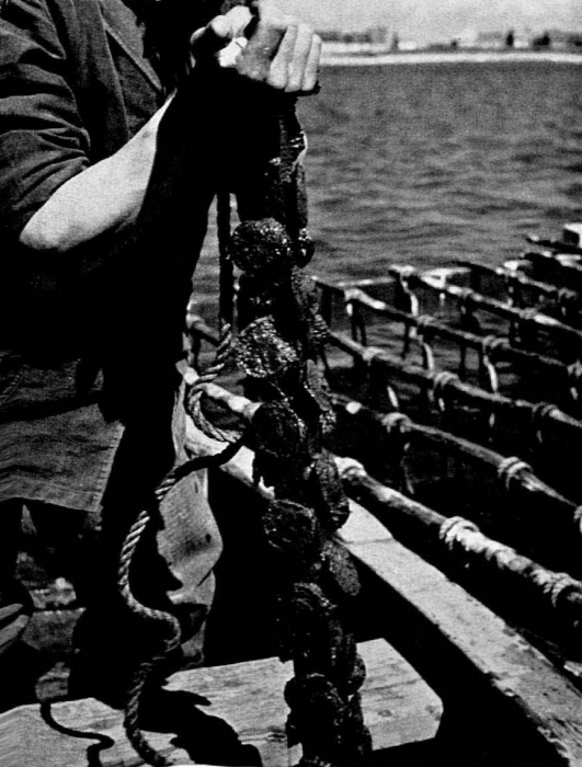 Graf (1957, foto 08)