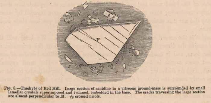Renard (1888, fig. 08)