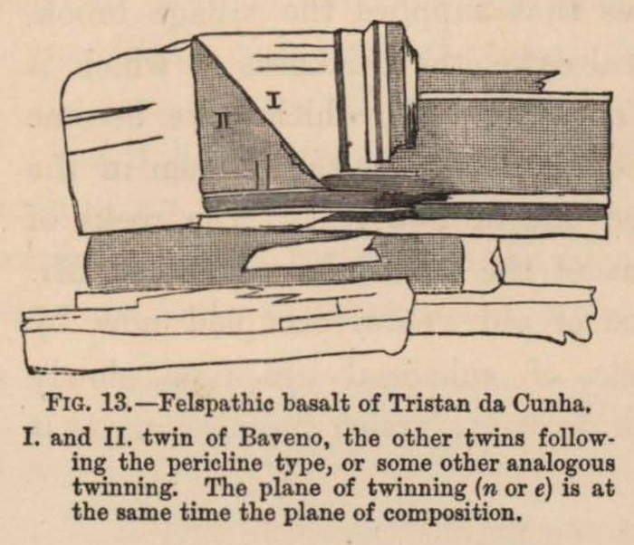 Renard (1888, fig. 13)