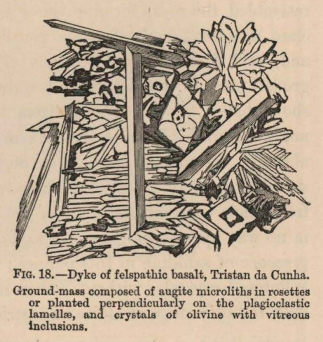 Renard (1888, fig. 18)