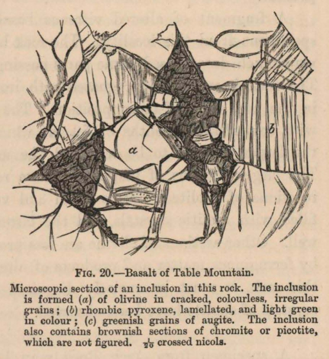 Renard (1888, fig. 20)