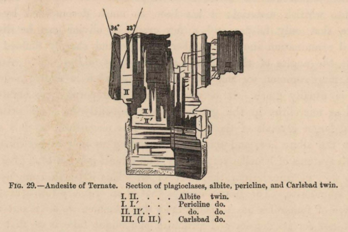 Renard (1888, fig. 29)