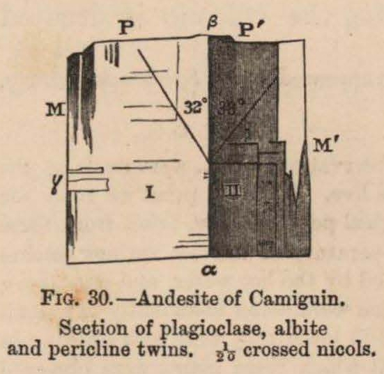 Renard (1888, fig. 30)