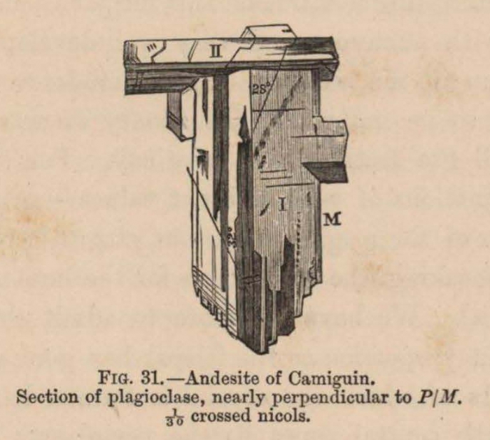 Renard (1888, fig. 31)
