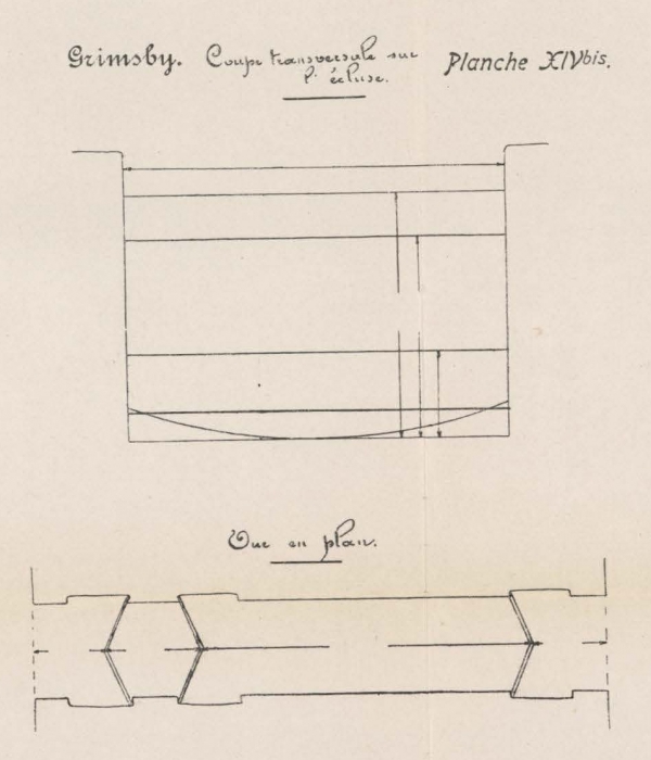 Verraert (1907, pl. 14bis)