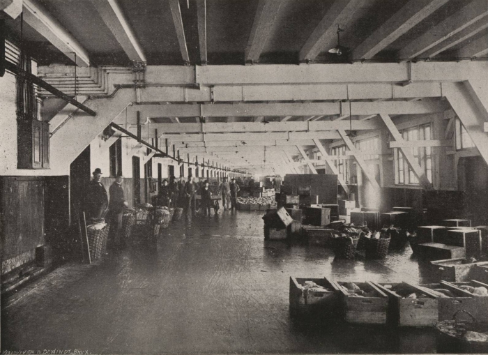 Verraert (1907, foto 04)