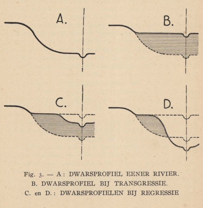 De Langhe (1939, fig. 3)