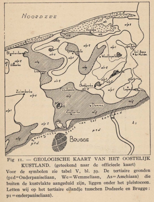 De Langhe (1939, fig. 11)