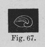 Eben (1884, figuur 67)