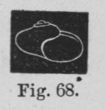 Eben (1884, figuur 68)