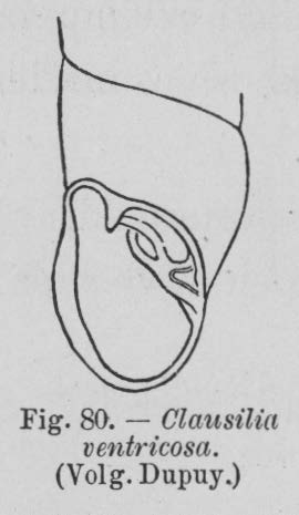 Eben (1884, figuur 80)