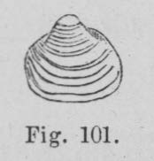 Eben (1884, figuur 101)