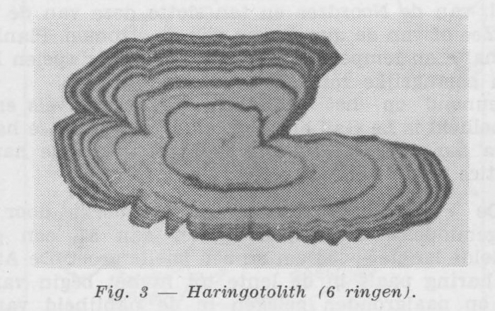 Gilis (1957, figuur 1.3)