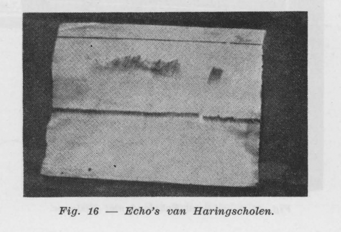 Gilis (1957, figuur 1.16)