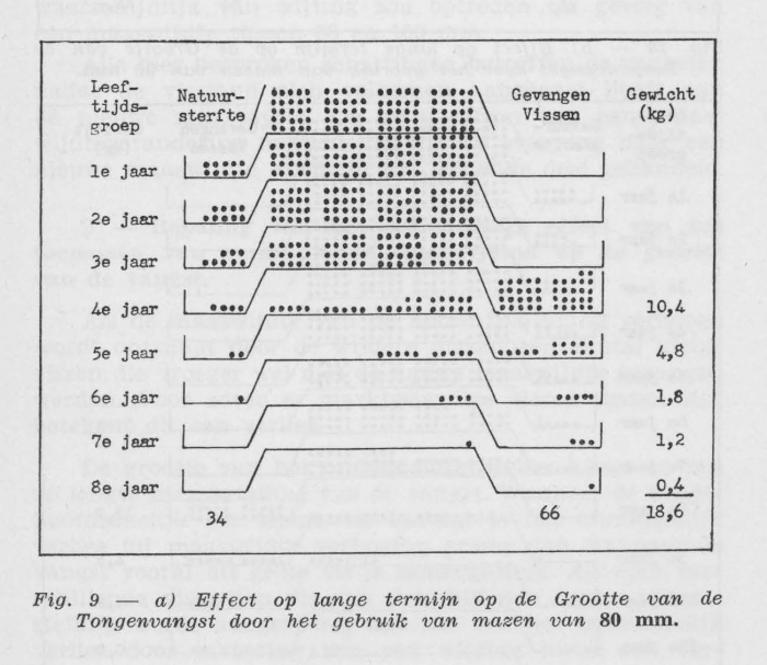 Gilis (1957, figuur 2.9)