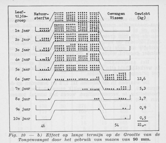 Gilis (1957, figuur 2.10)