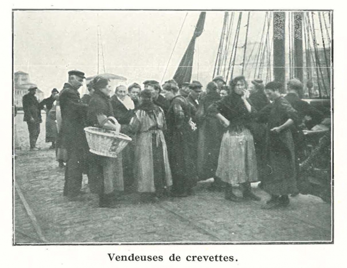 Vandeput (1932, pl. 68)