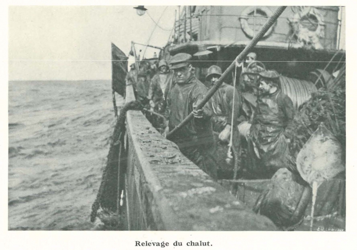 Vandeput (1932, pl. 94)