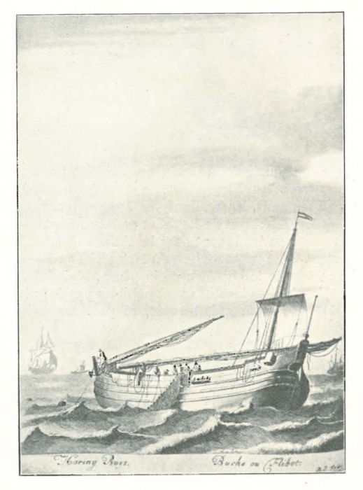 Vandeput (1932, pl. 99)