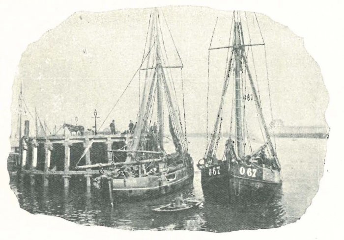 Vandeput (1932, pl. 101)