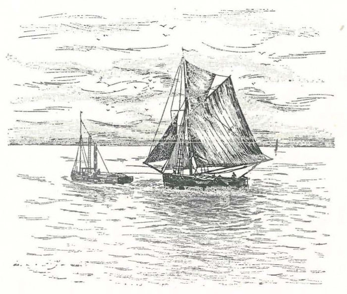 Vandeput (1932, pl. 103)
