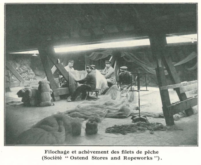Vandeput (1932, pl. 106)