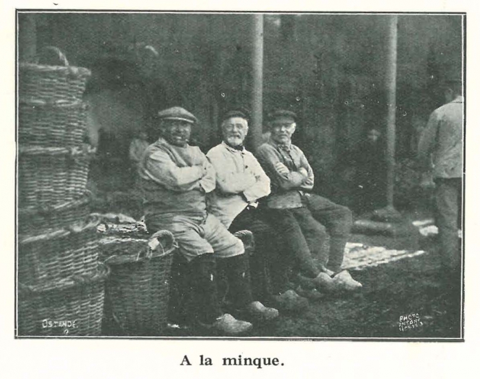Vandeput (1932, pl. 109)