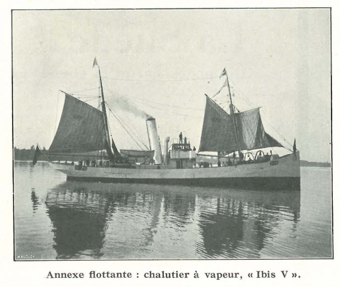 Vandeput (1932, pl. 111)