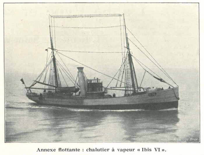 Vandeput (1932, pl. 116)