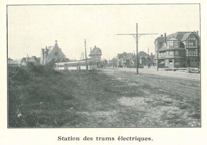 Vandeput (1932, pl. 179)