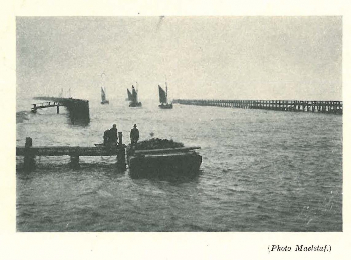 Vandeput (1932, pl. 191)