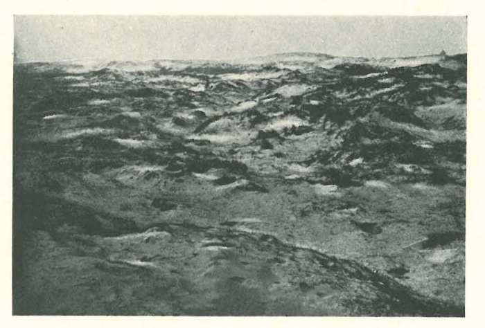 Vandeput (1932, pl. 192)