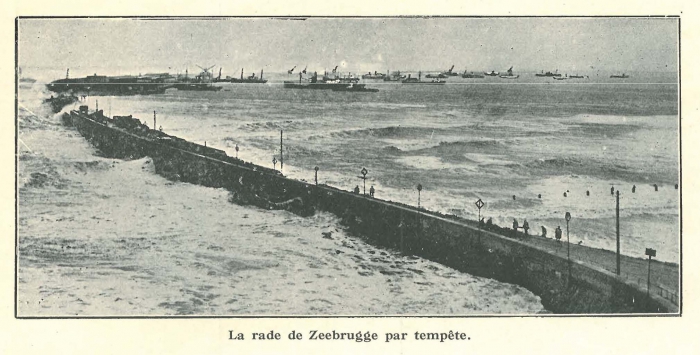 Vandeput (1932, pl. 205)